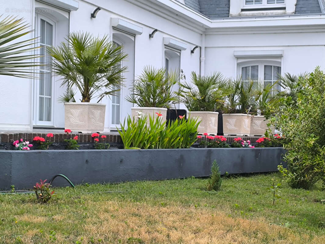 Maison à BERCK