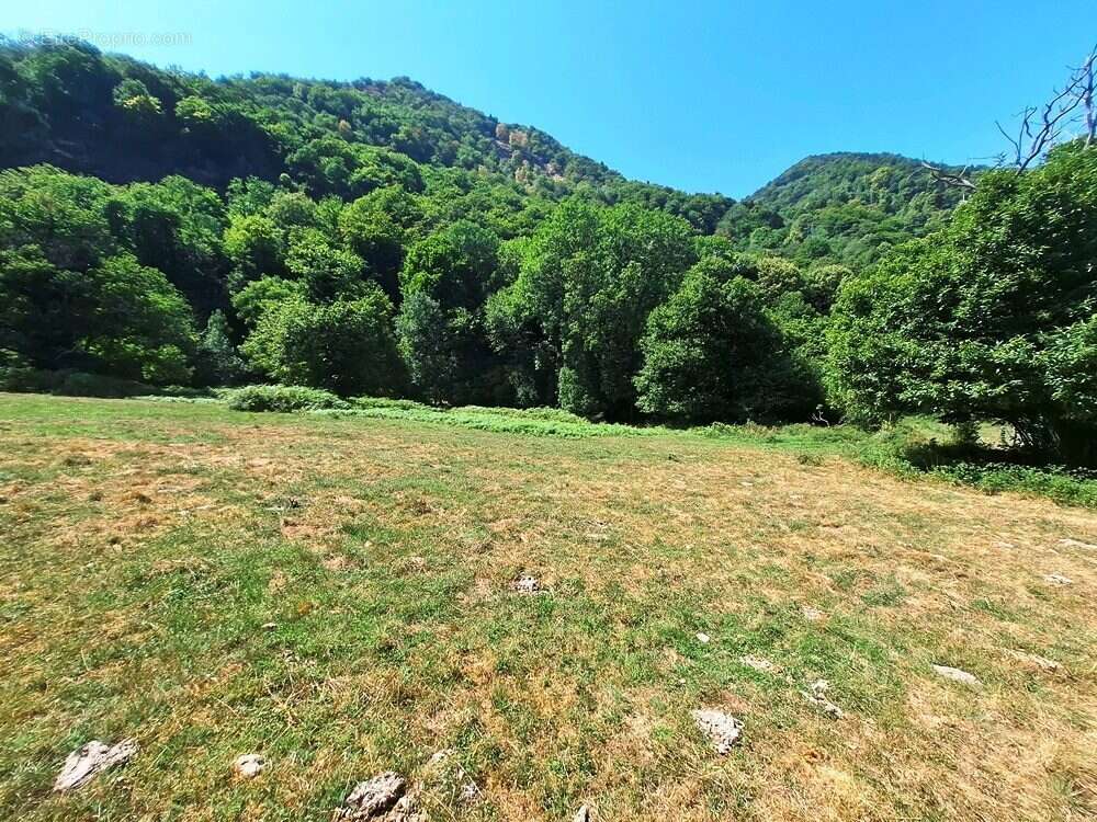 Terrain à SAINT-BEAT