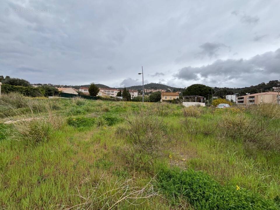 Terrain à BORMES-LES-MIMOSAS