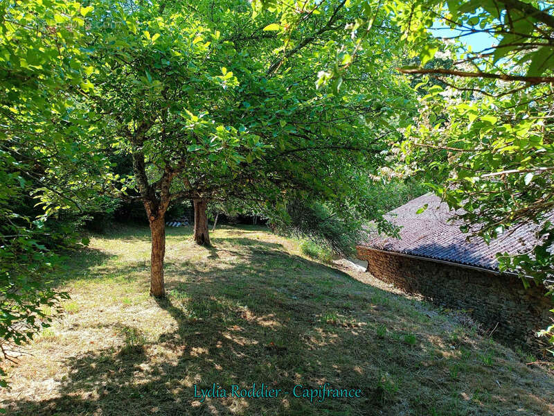 Fermette 10 pièces - grande grange - Rare à SAINT VICTOR MONTVIANEIX (63550) en Auvergne-Rhône Alpes - photo 31