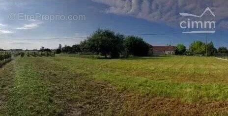 Terrain à BLAYE