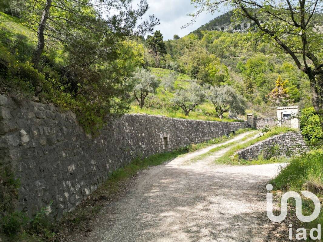 Photo 1 - Terrain à PIERREFEU