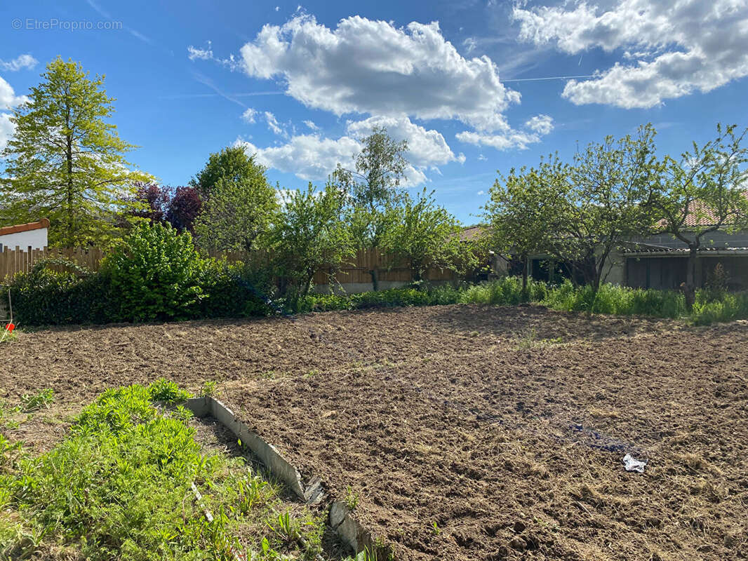 Terrain à CHOLET