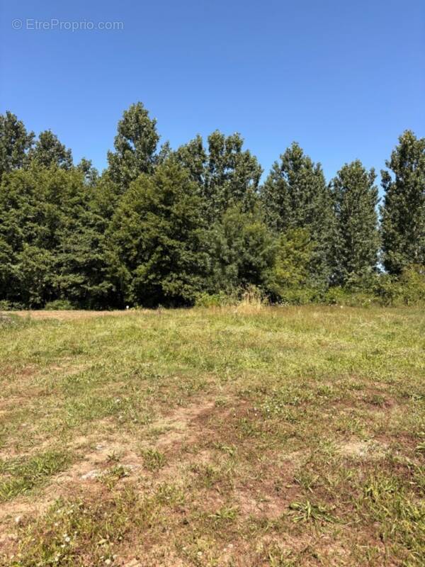 Terrain à VAYRES