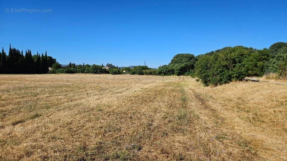 Terrain à PERTUIS