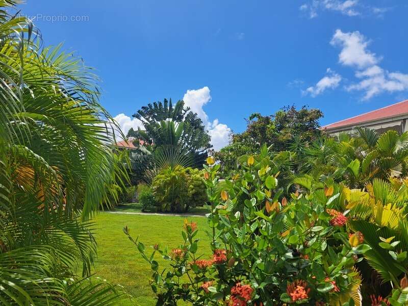 Appartement à SAINT-FRANCOIS