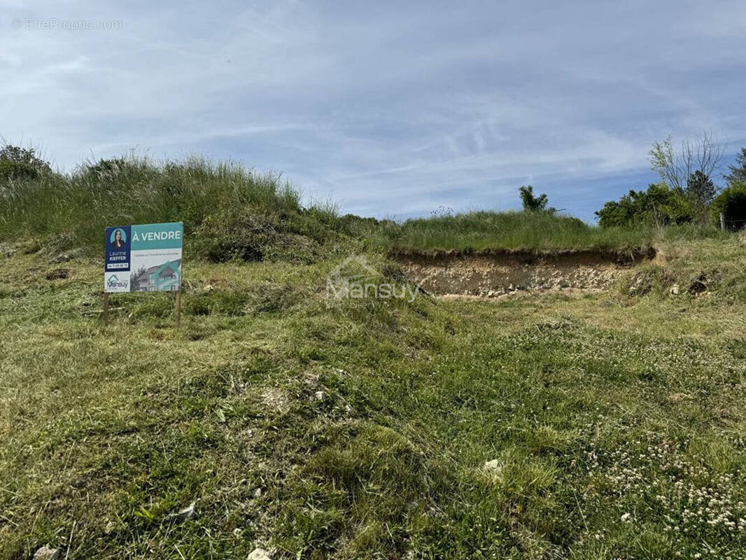 Terrain à LANDRECOURT-LEMPIRE