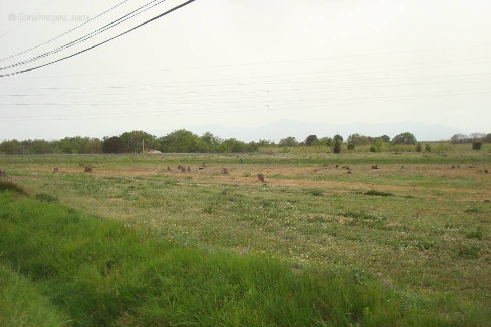 Terrain à PERPIGNAN