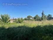 Terrain à PELISSANNE