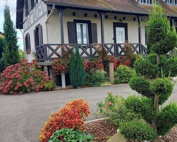 Maison 330 m² à Benfeld  - photo 25