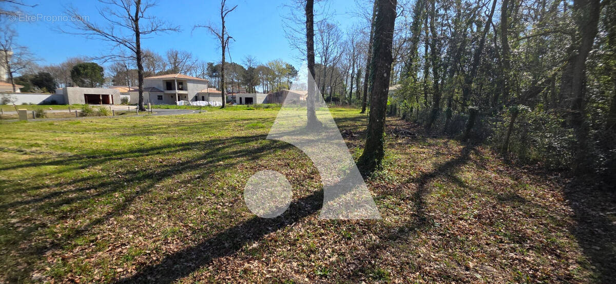 Terrain à LA TREMBLADE