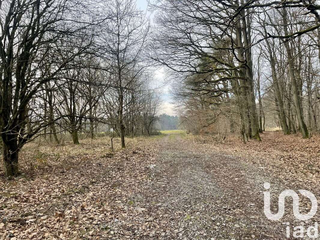 Photo 6 - Terrain à CARLING