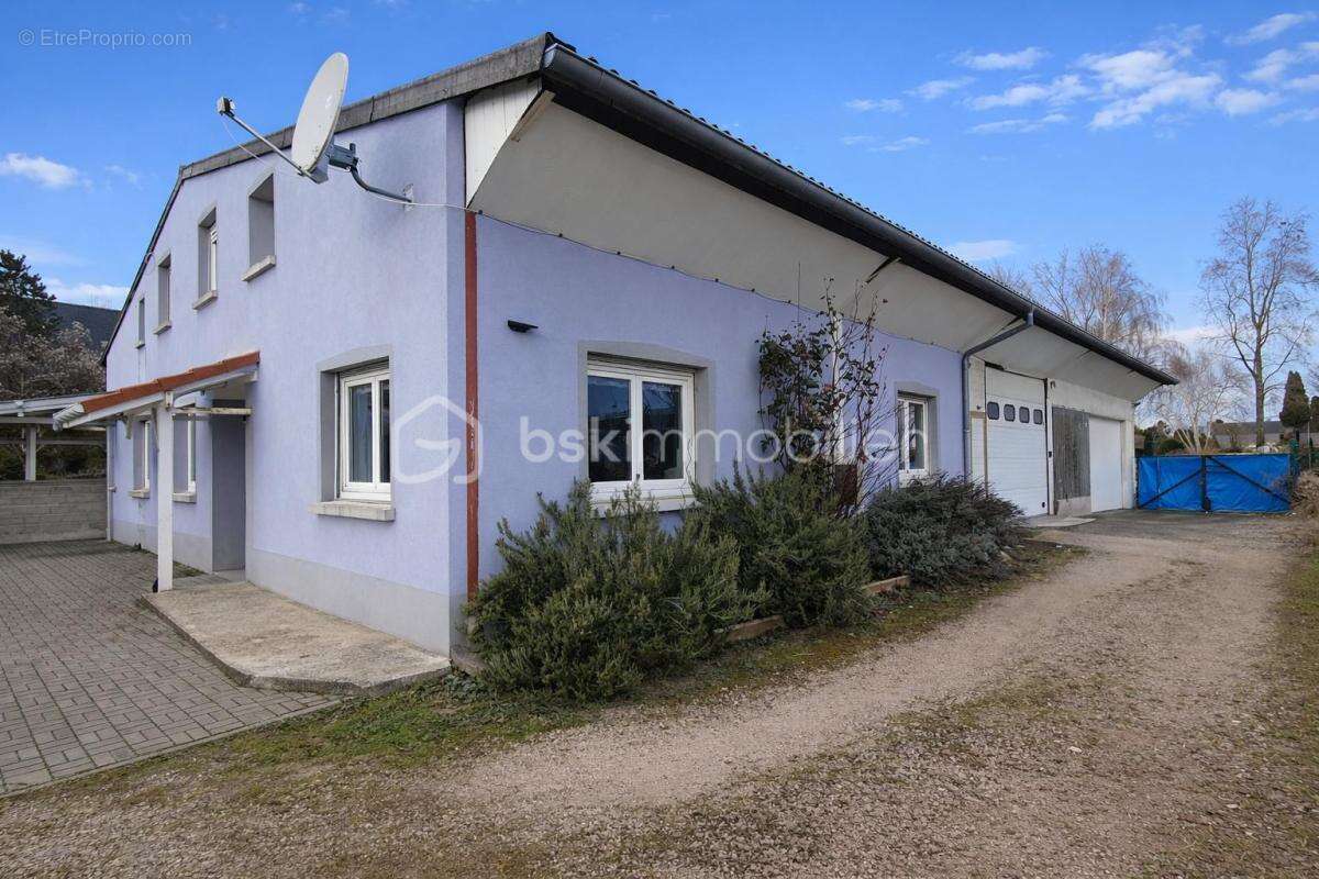 Commerce à MARCKOLSHEIM