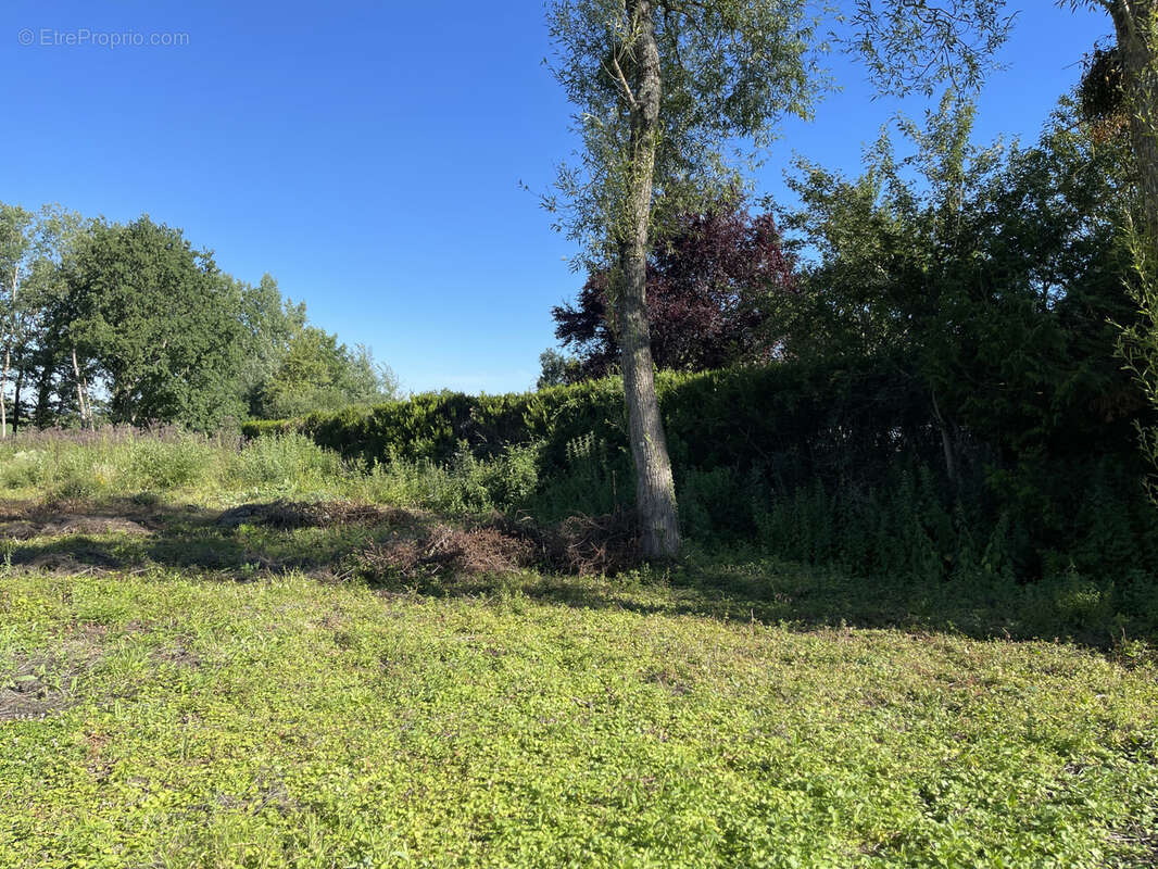 Terrain à LA VENDUE-MIGNOT