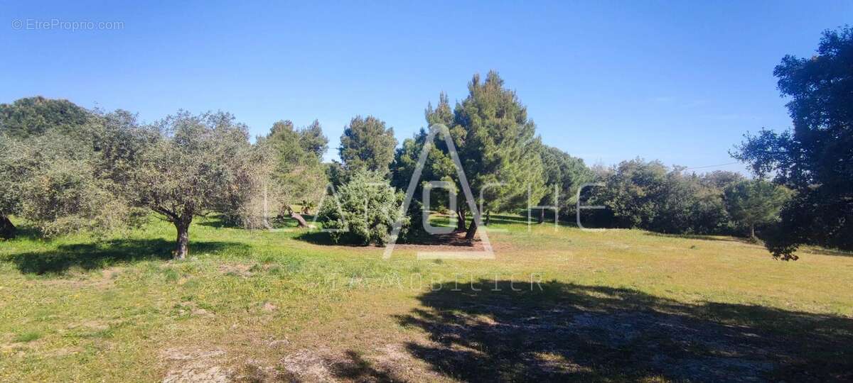 Maison à ARGELES-SUR-MER