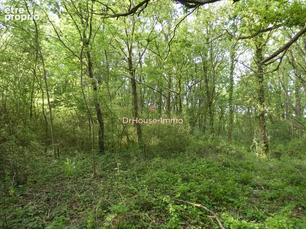 Terrain 1 591 m² à vendre à Bourcefranc-Le-Chapus (17560) - photo 20