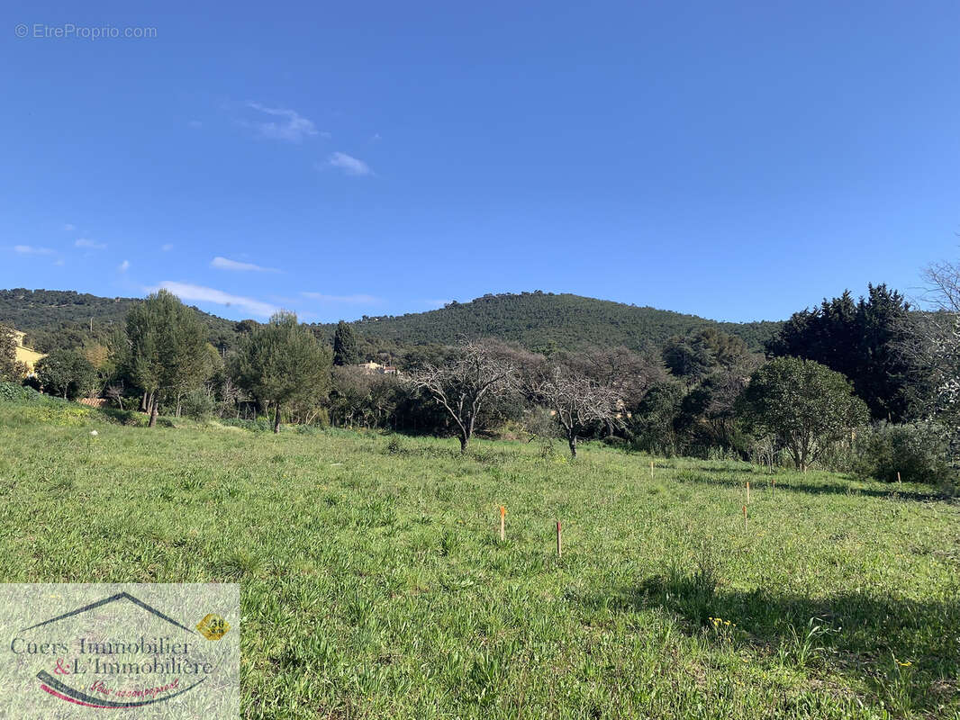 Terrain à LE PRADET