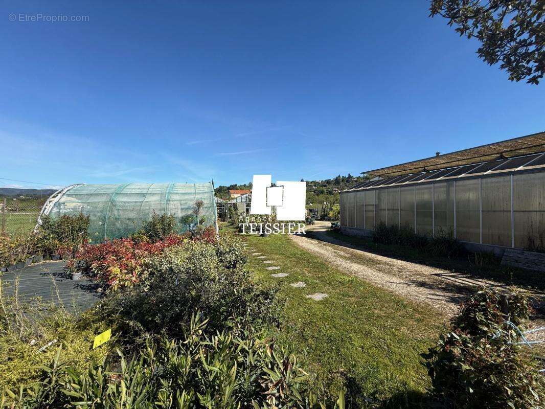 Commerce à LES VANS