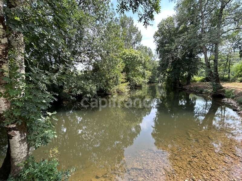 Terrain à vendre  COULAURES (24) 8637m² - photo 3