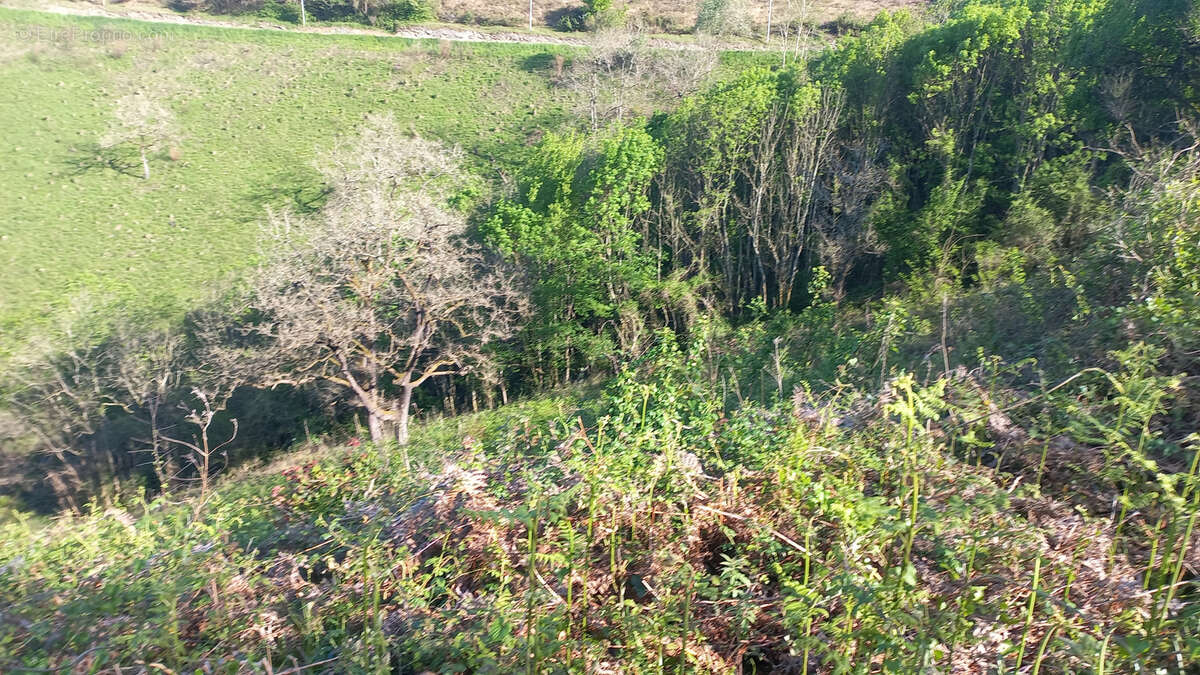 Maison à LOHITZUN-OYHERCQ