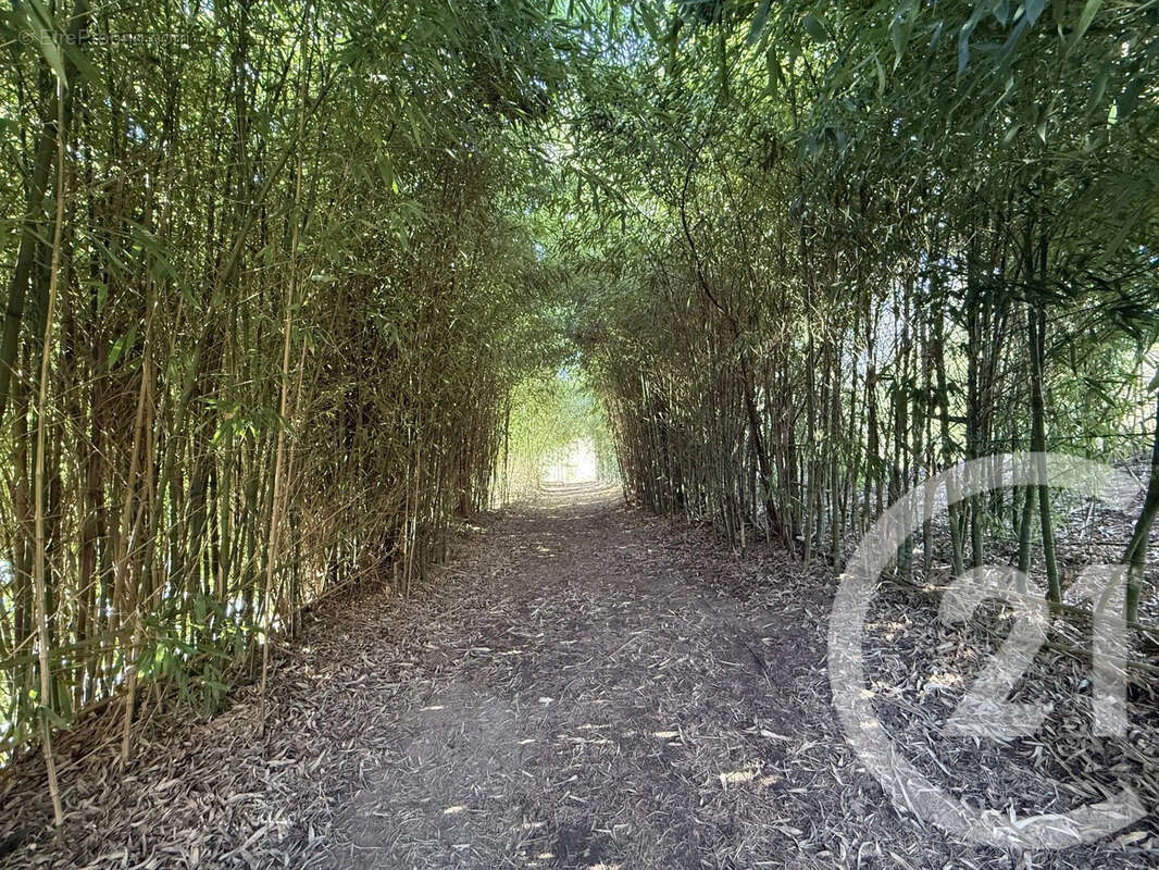 Maison à VILLENEUVE-SUR-ALLIER