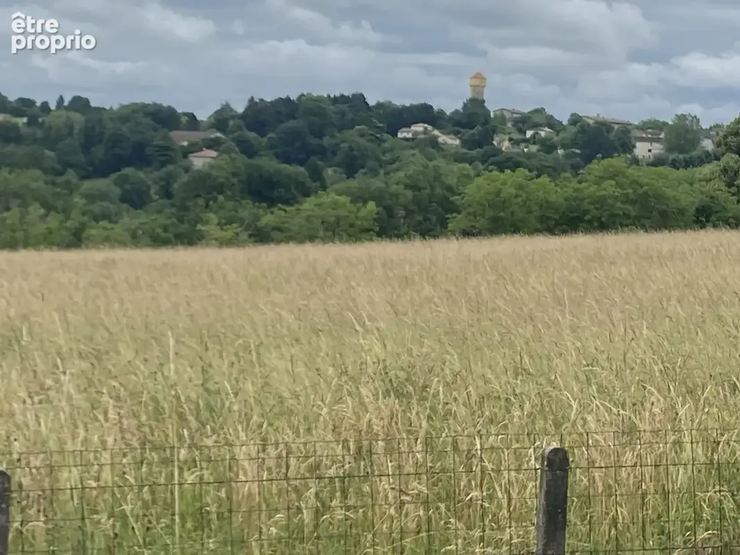 Magnifique Villa dans le Périgord Noir - photo 2
