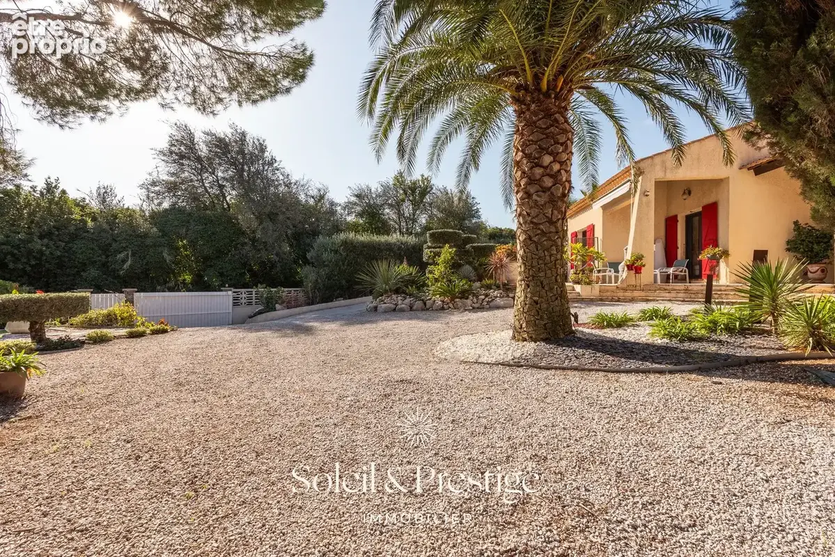 TOURBES - Maison d'architecte avec dépendance, piscine, double garage sur terrain arboré - photo 7