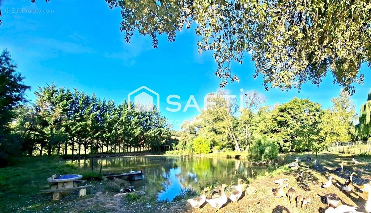 Photo 5 - Maison à GAILLAC