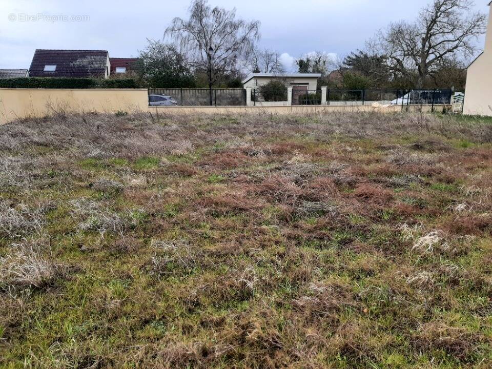 Terrain à SAINT-VRAIN