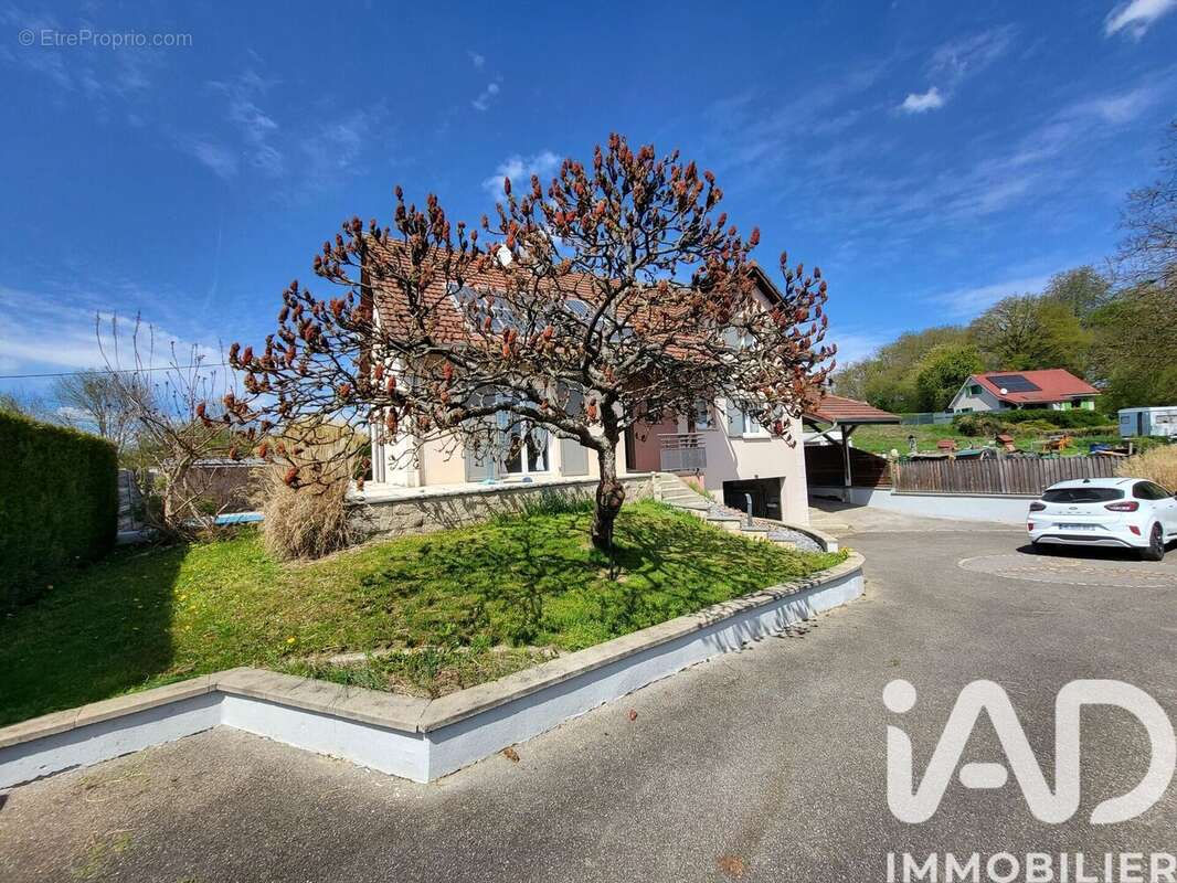 Photo 5 - Maison à FLORIMONT