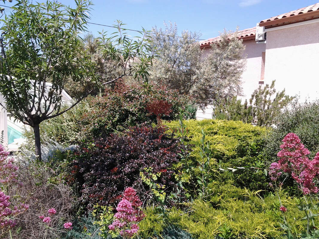 Maison à SAINT-JEAN-DE-FOS