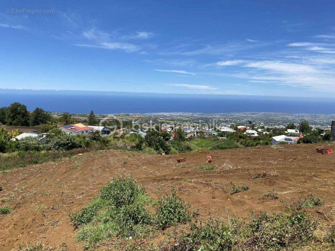 Terrain à LE TAMPON