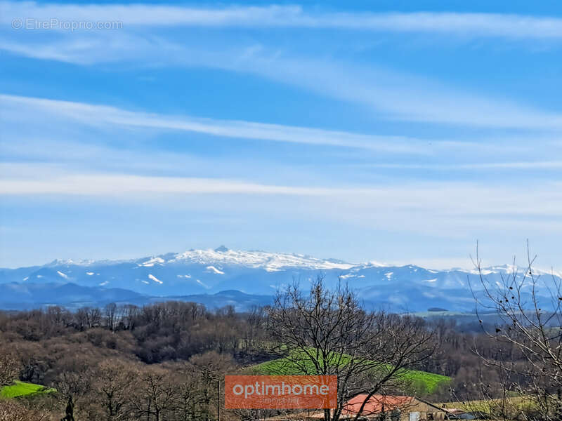 Proche de sauveterre de bearn (64) - photo 2