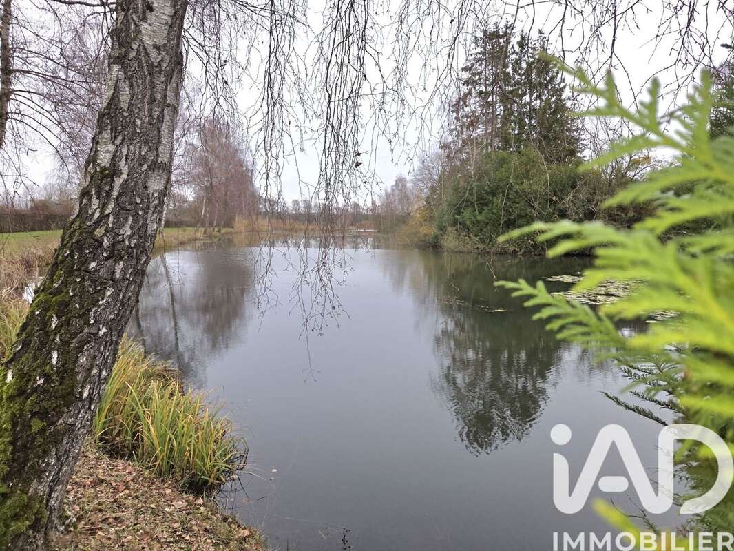 Photo 5 - Maison à DAMVILLERS