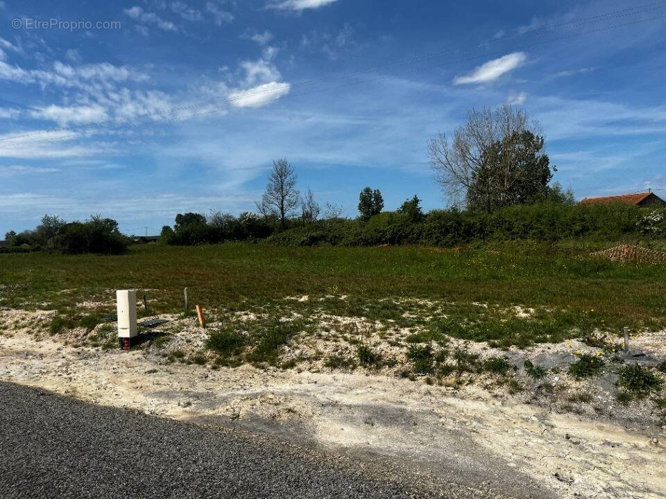 Terrain à NOTRE-DAME-DE-MONTS