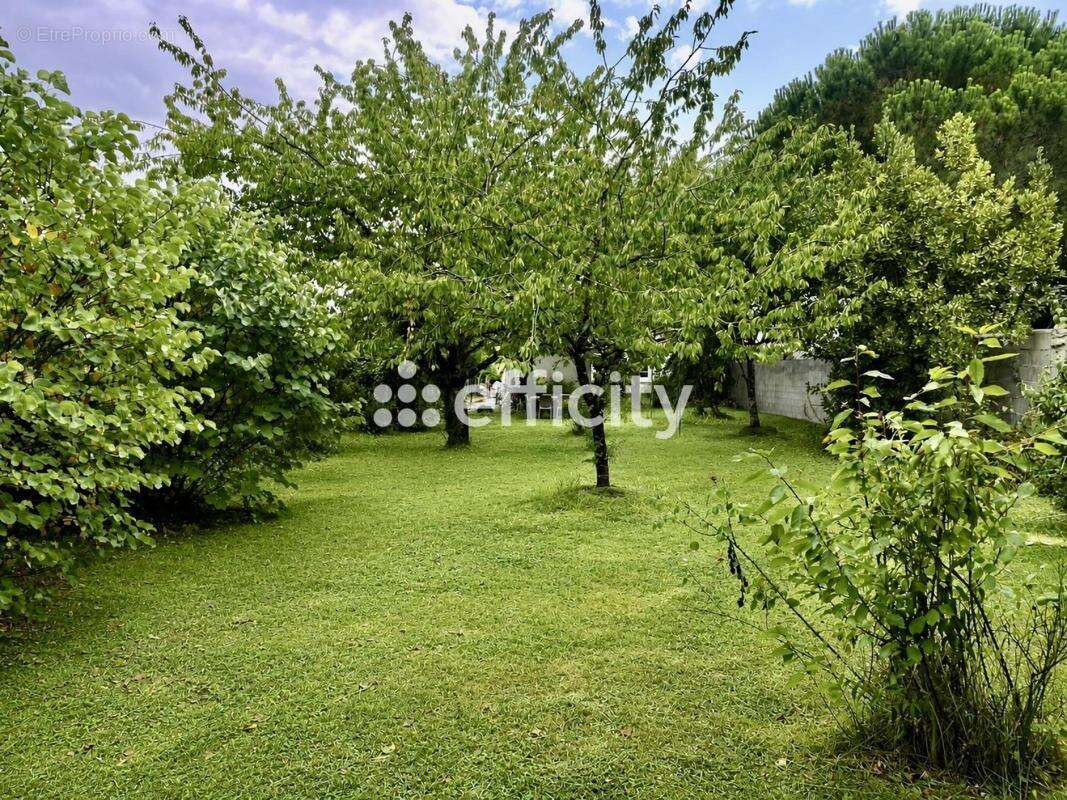 Maison 74 m² à Marennes  - photo 2