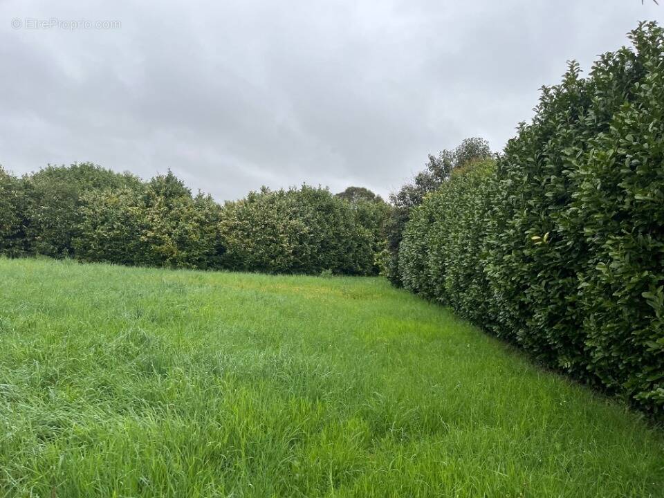 Terrain à LORIOL-SUR-DROME