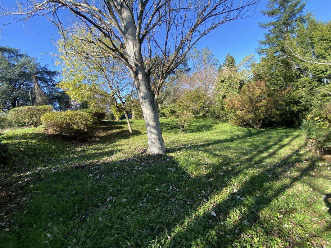 Terrain à ALBI