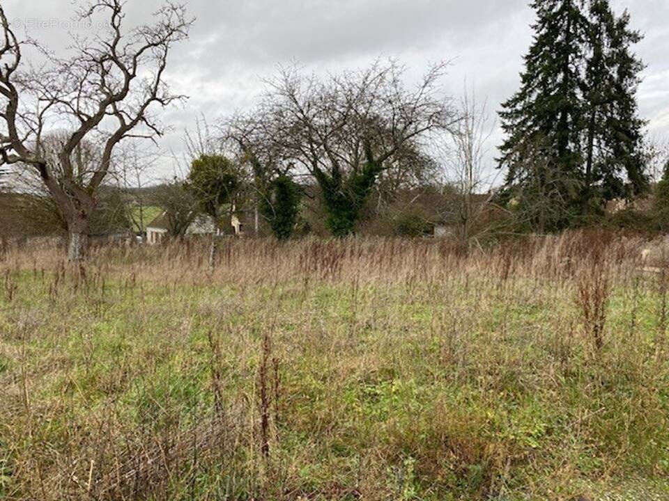 Terrain à VILLERS-SUR-TRIE