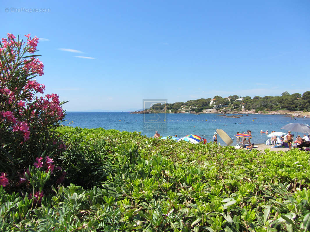 Studio front de mer - saint raphaël - photo 9