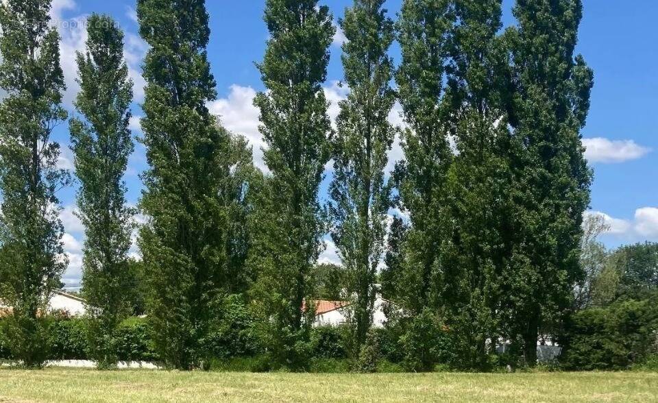 Terrain à COMMEQUIERS