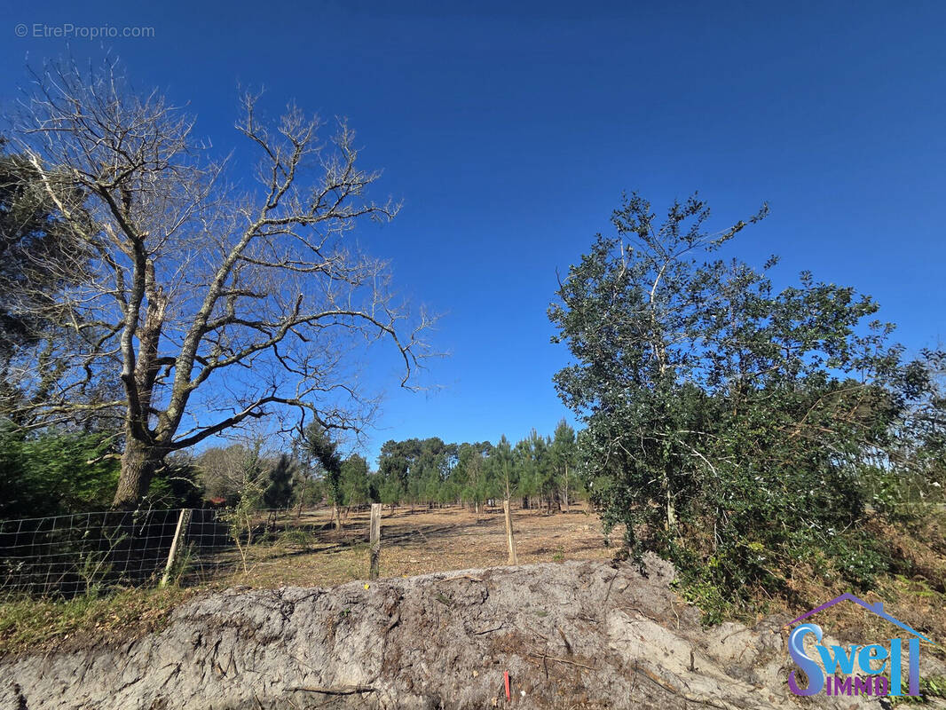 Terrain à MOLIETS-ET-MAA