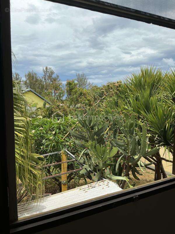 Maison à SAINT-JOSEPH