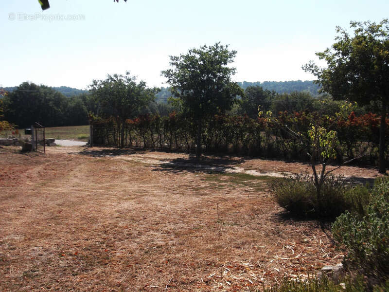 En exclusivité - Authentique bergerie Provençale du XIXème siècle à fort potentiel - photo 41