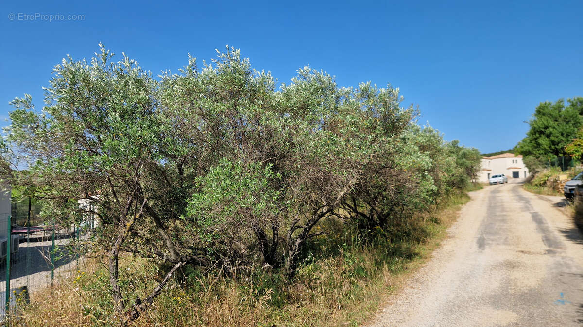 Terrain à SAINT-JEAN-DE-FOS