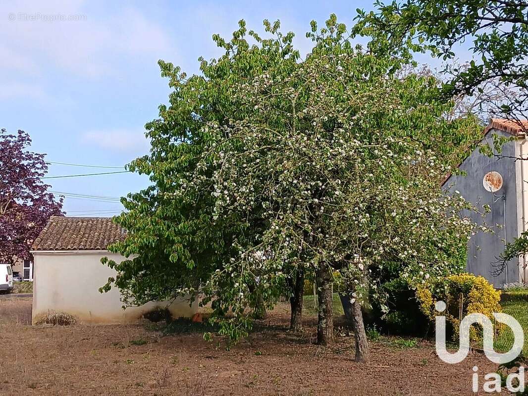 Photo 2 - Terrain à USSON-DU-POITOU