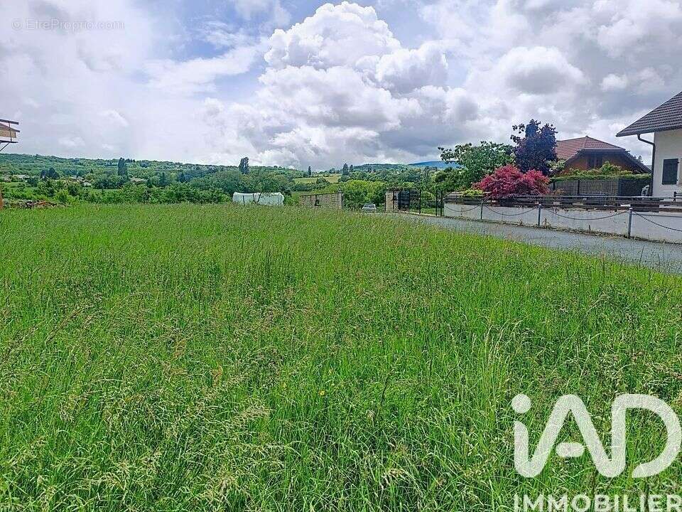 Photo 4 - Terrain à VIRY