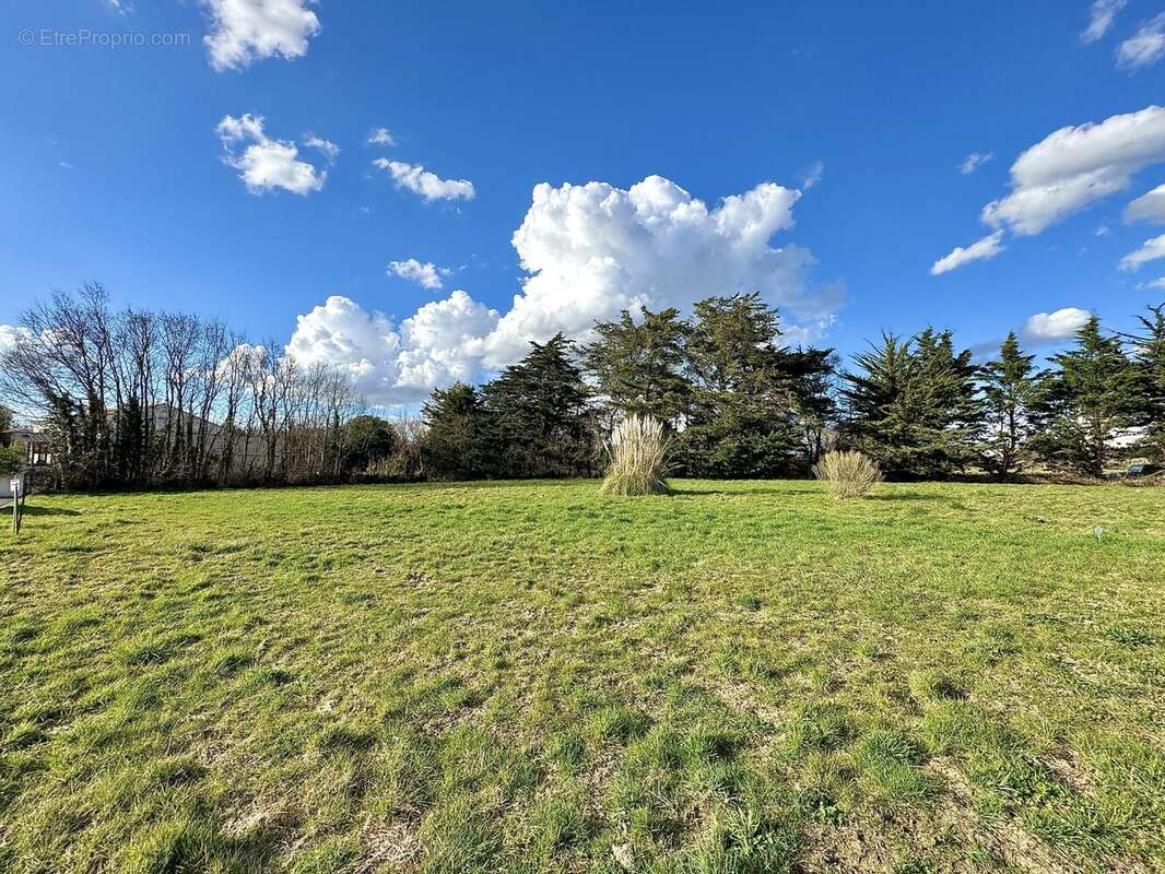 Terrain à LE FENOUILLER