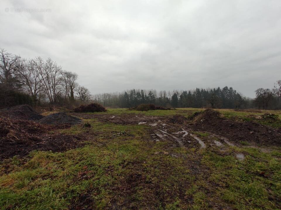 Terrain à SAINT-BENOIT-D'HEBERTOT