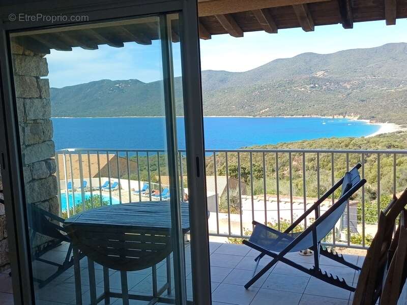 Exclusivité : superbe T2 vue panoramique mer et montagne en corse-du-Sud à SERRA DI FERRO (20) - photo 6